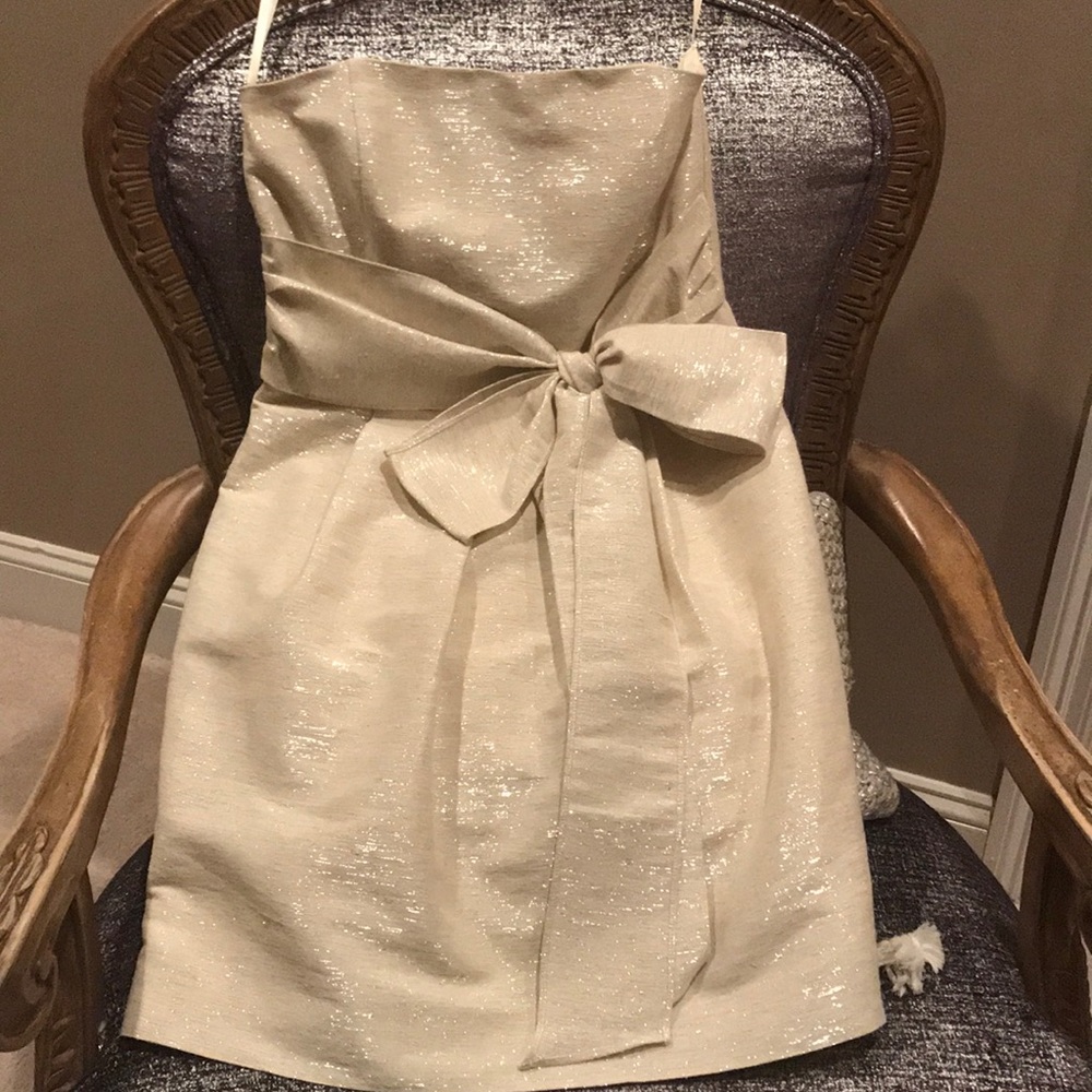 Britt Ryan Elegant Strapless dress